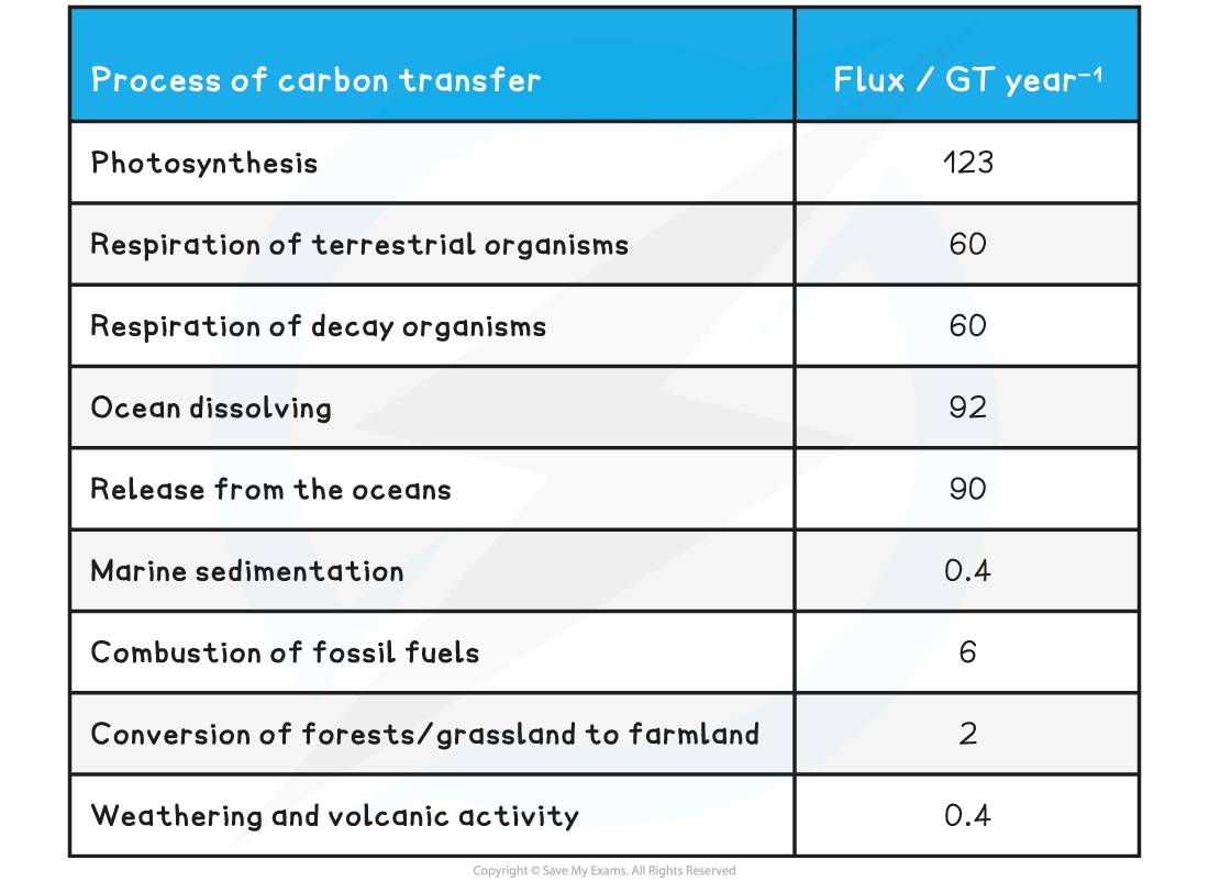 Estimated-Global-Yearly-Carbon-Fluxes-Table