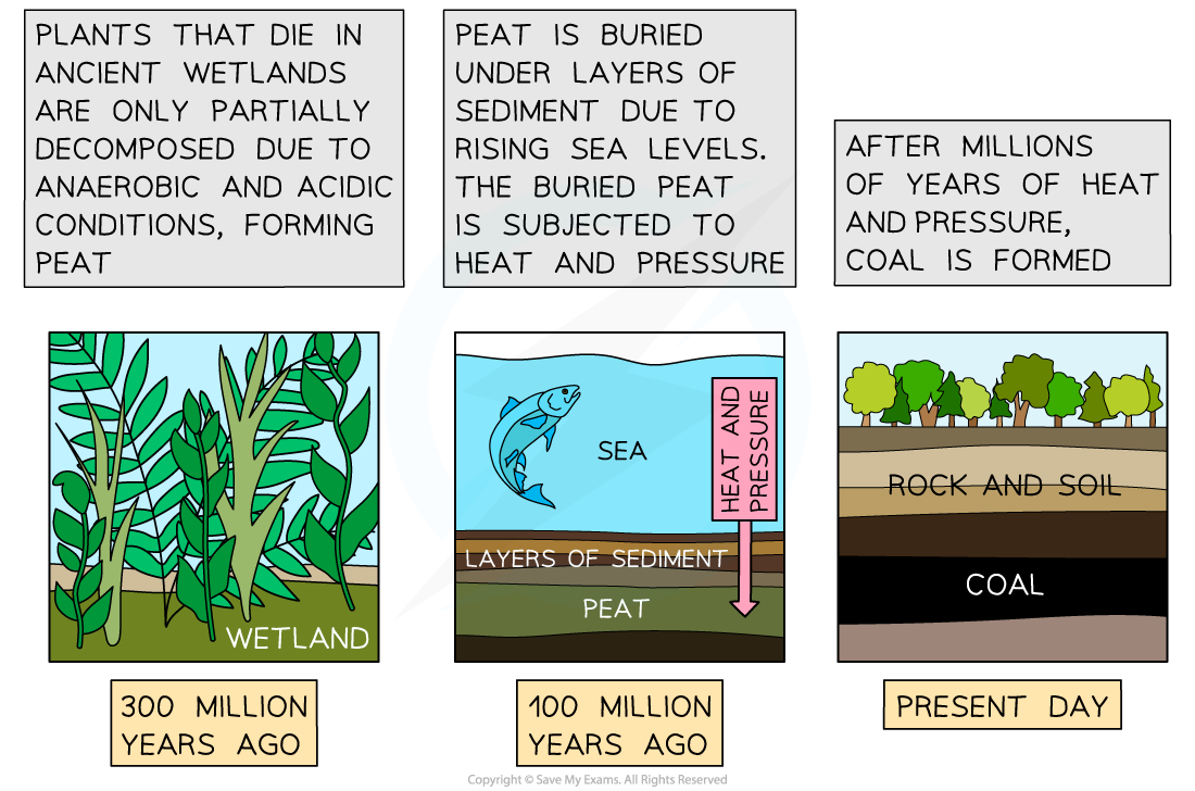 Formation-of-coal-from-peat