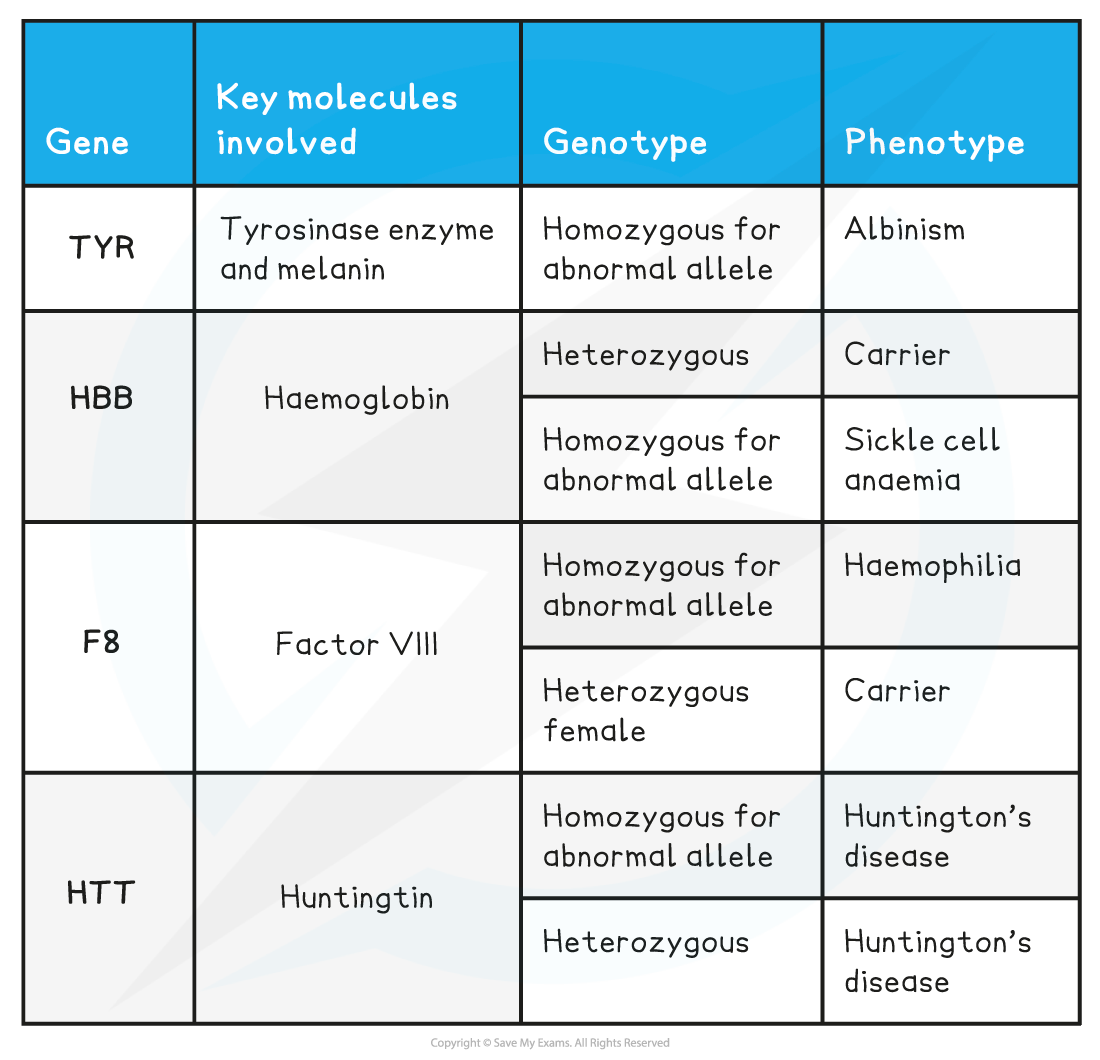 Gene-Protein-and-Phenotype-Summary-Table