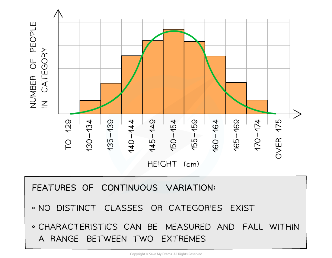 what-is-meant-by-variation-in-processes