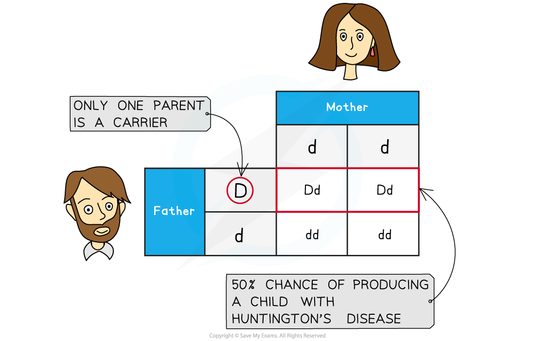 Inheritance-of-Huntingtons-disease