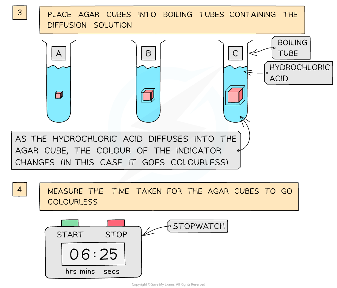 Investigating-SA-with-Agar-Method-2