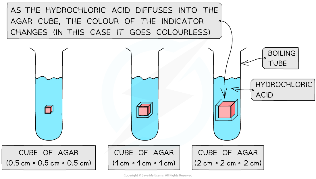 Investigating-diffusion-using-agar