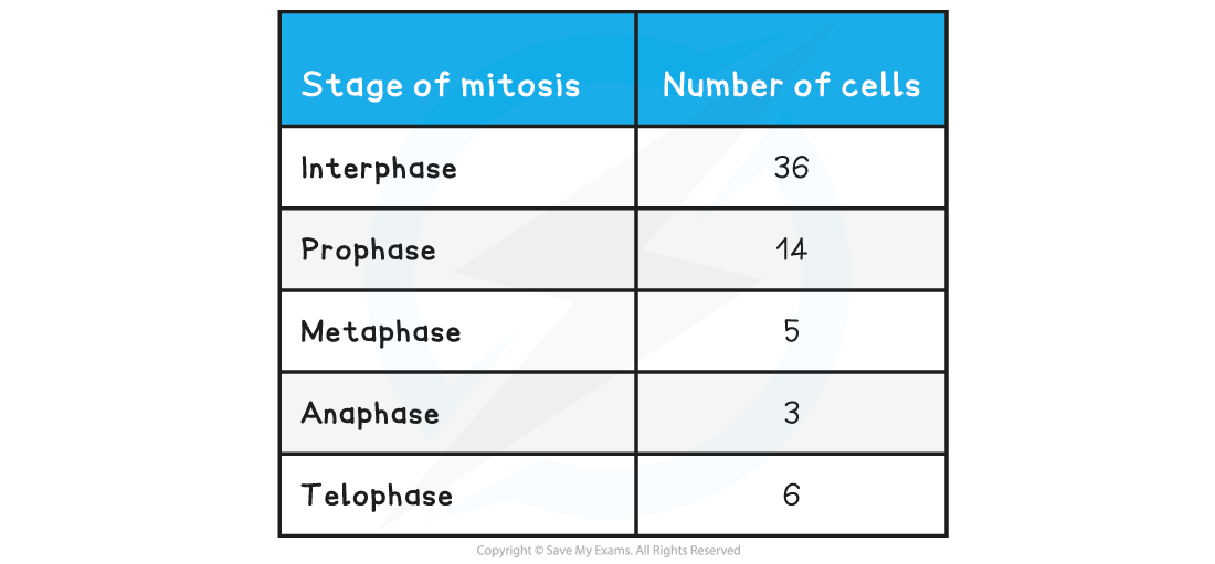 Mitotic-index-table