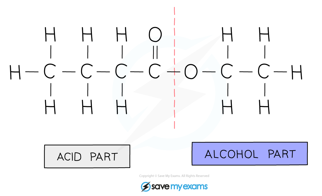 Parts-of-an-Ester_