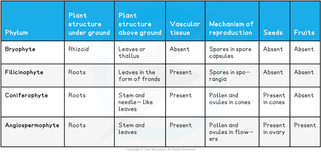 Plant-Phyla-Features-Table