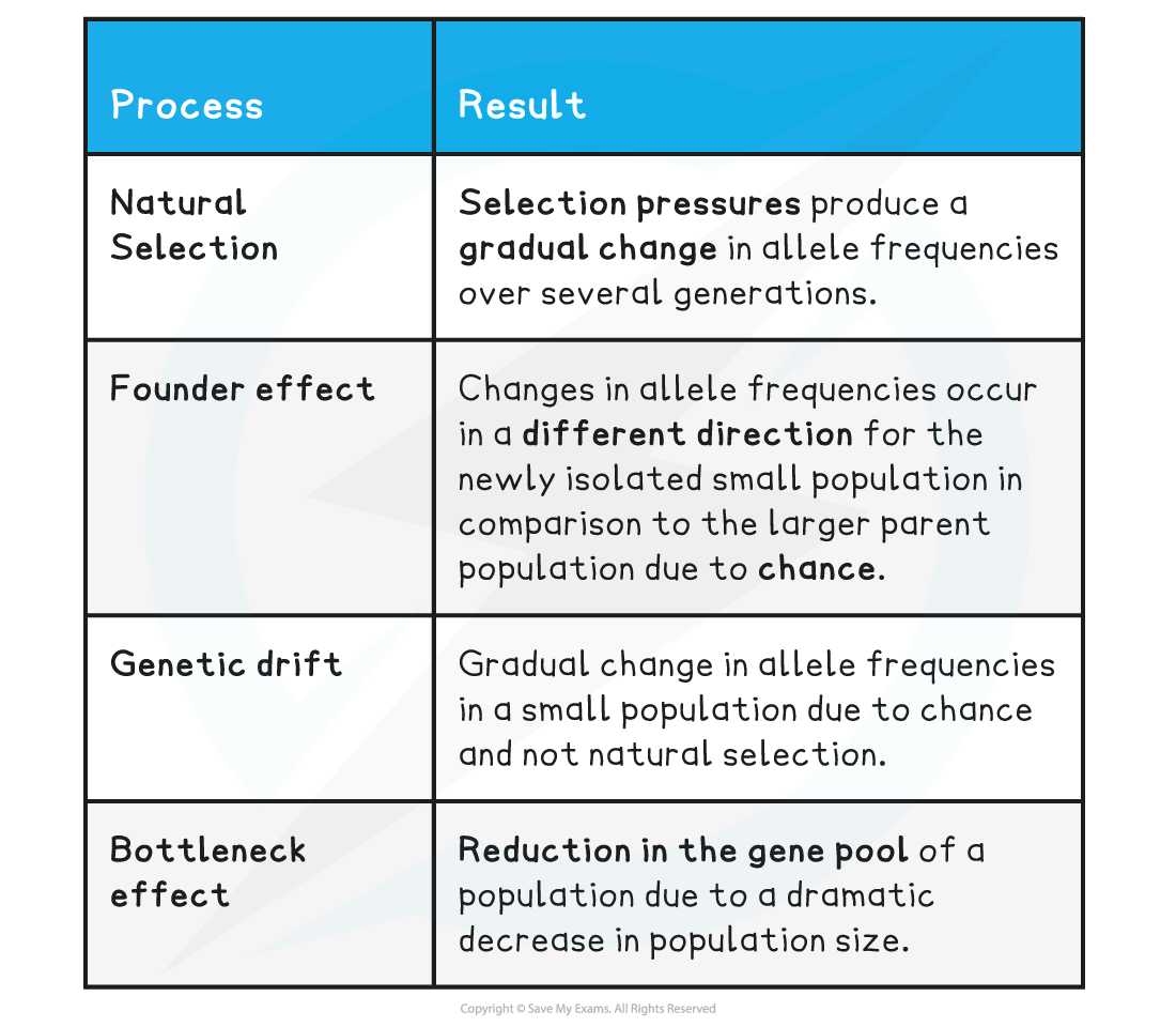 Processes-that-Cause-Allele-Changes-Table