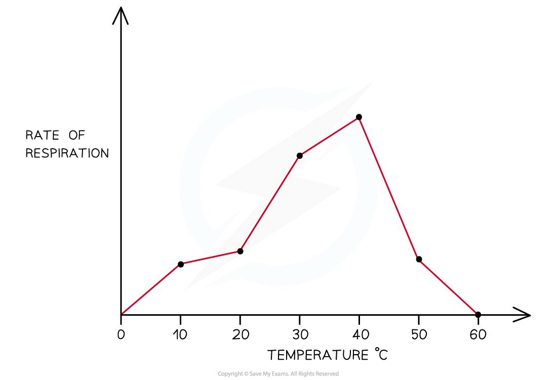 Rate-of-Respiration-and-Temperature-graph