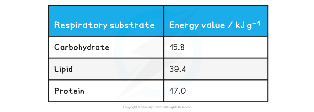 Respiratory-Substrate-Table