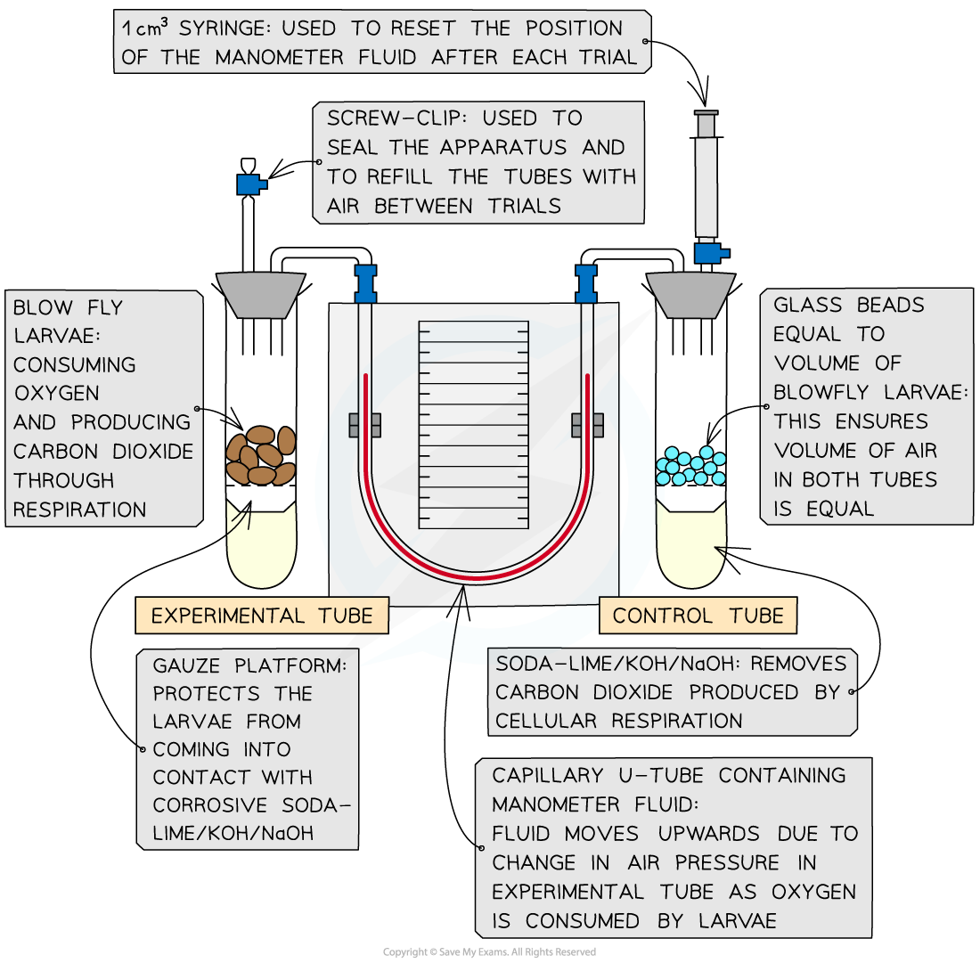 Function Of Soda Lime In Experiment