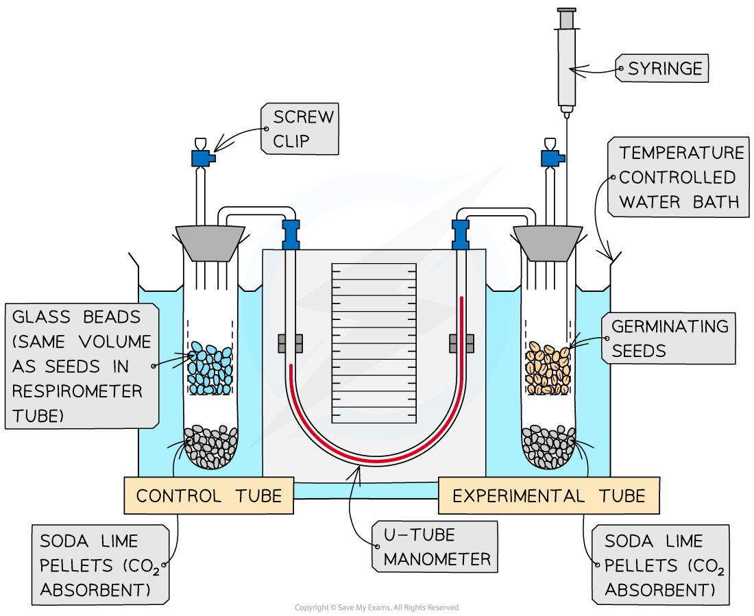 Respirometer-Temperature-Controlled