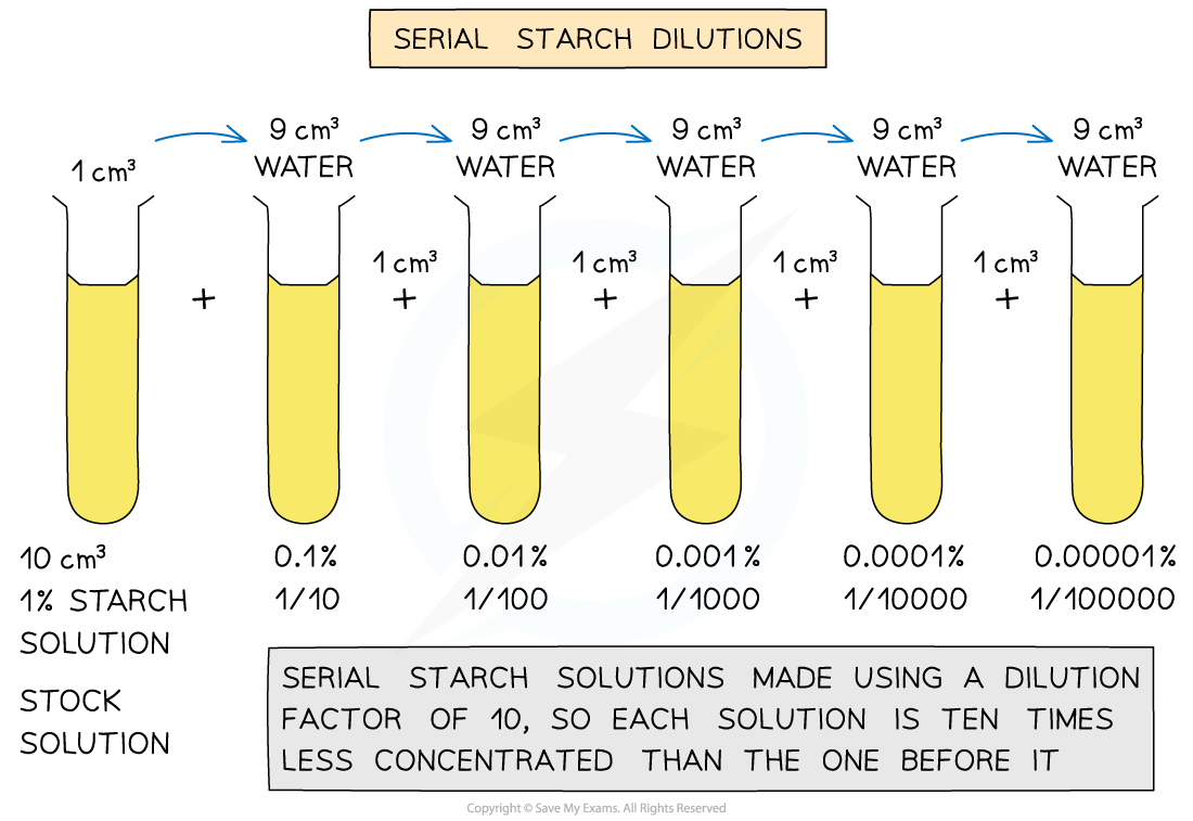 Serial-dilutions