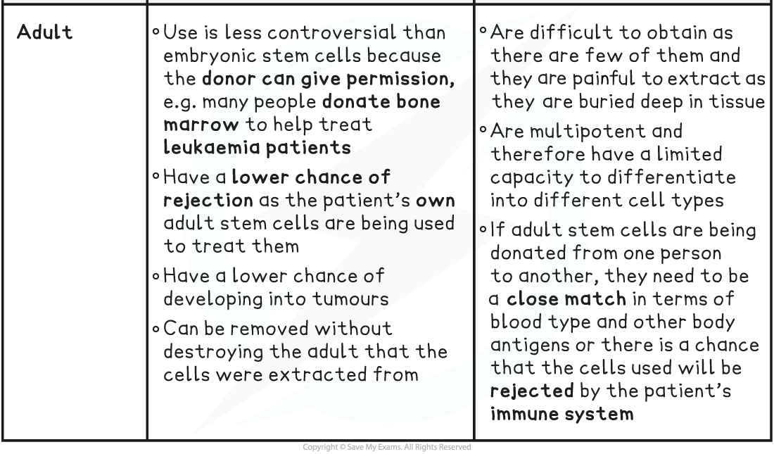 Stem-Cell-Ethics-Table-3