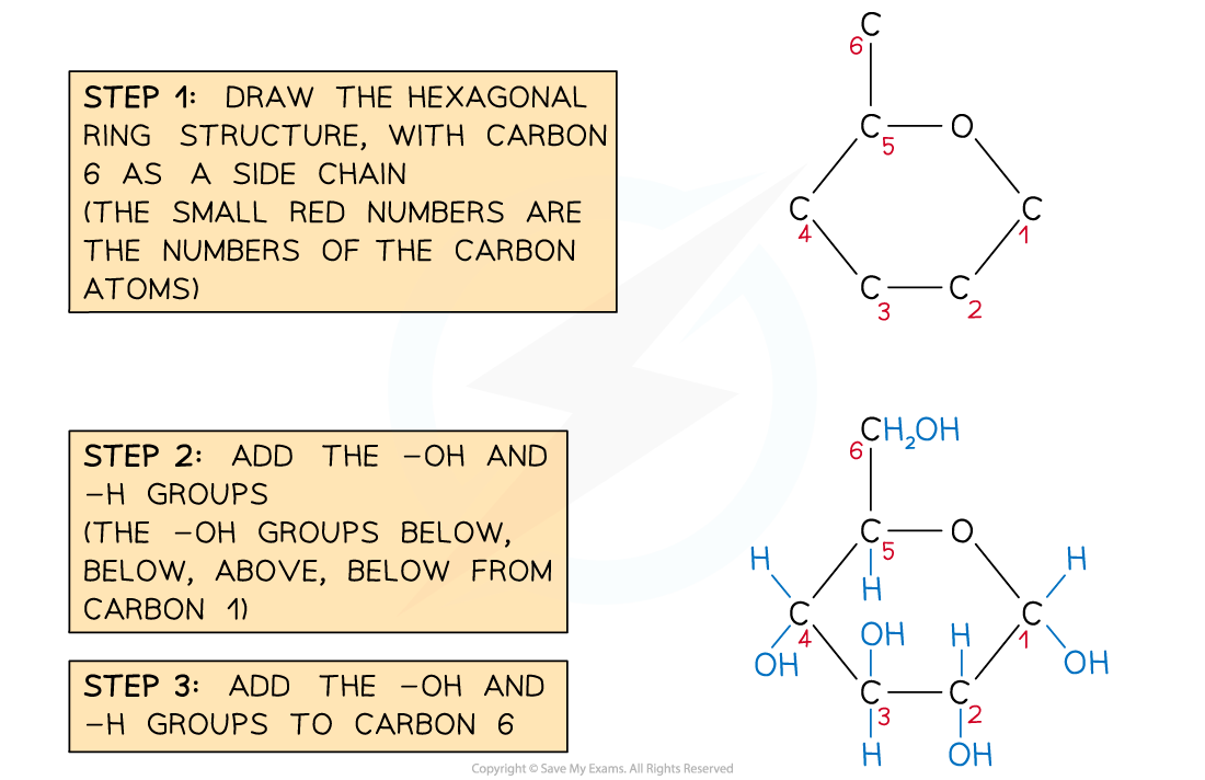 Steps-in-Drawing-%CE%B1-D-glucose