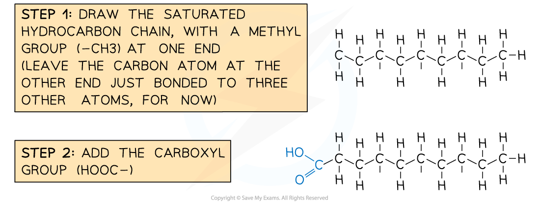 Steps-in-Drawing-a-Saturated-Fatty-Acid