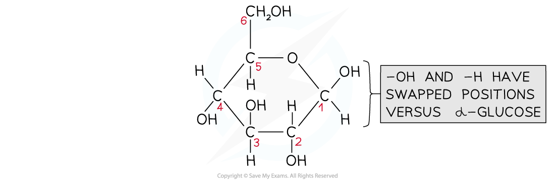 Structure-of-%CE%B2-D-glucose