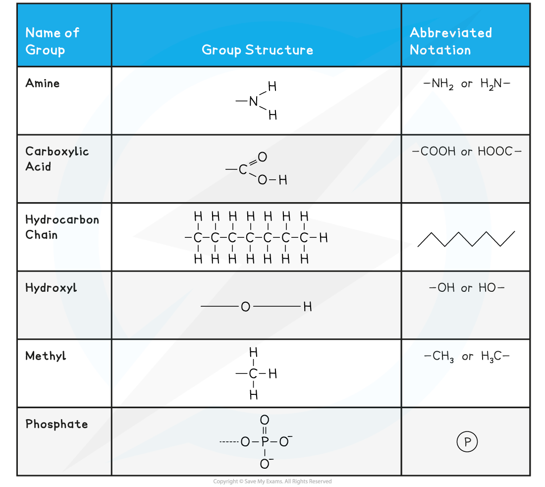 Symbols-Used-in-Biological-Molecule-Drawings-Table