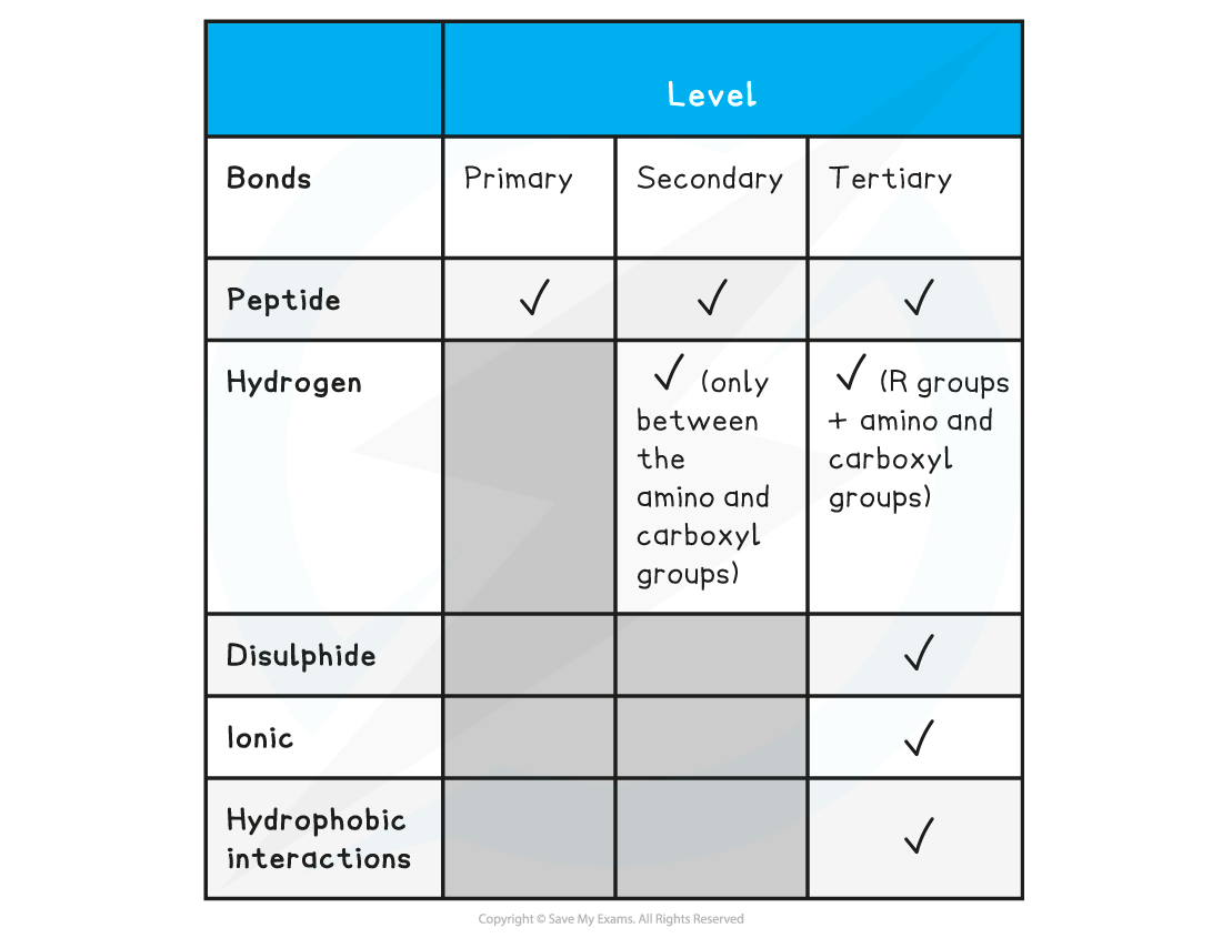 Table_-16-Protein_Structures