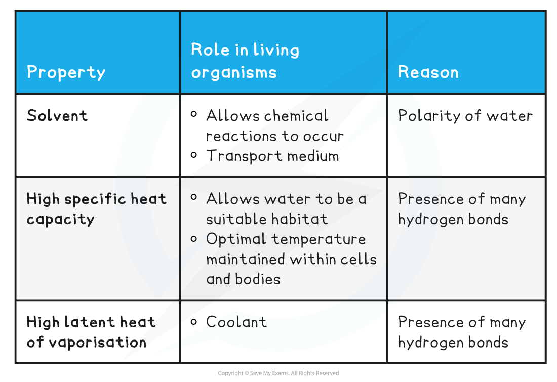 Table_-22-Water-molecules_-In-living-organisms