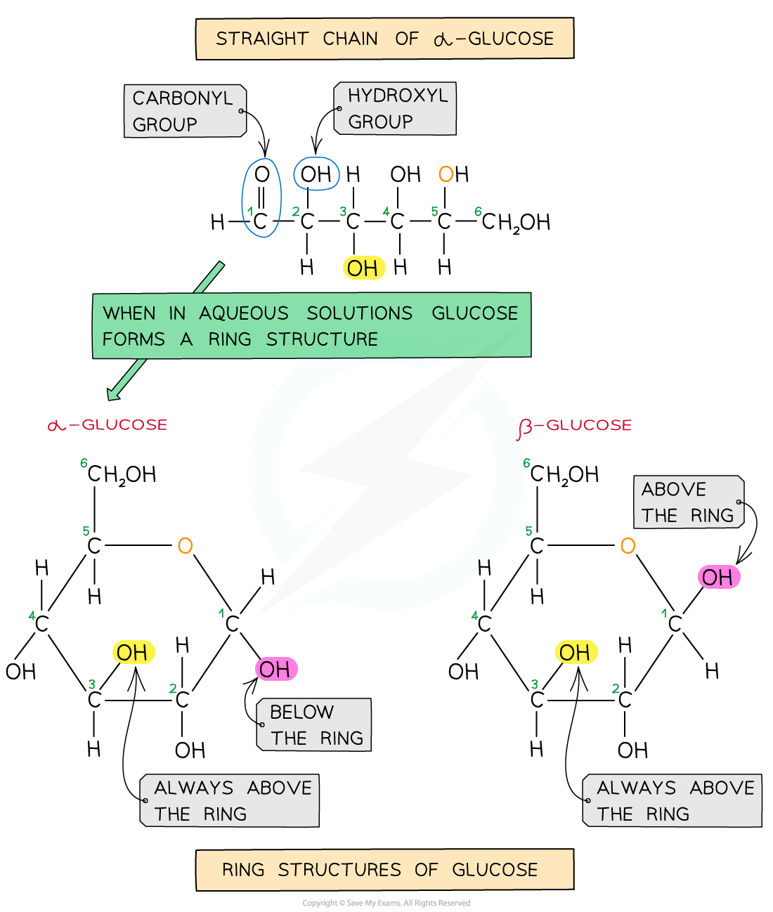 The-Two-Forms-of-Glucose