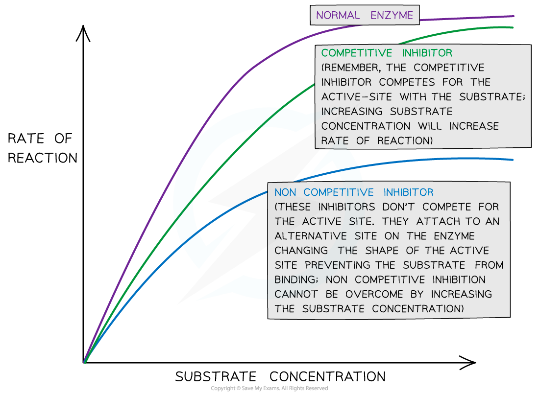 The-effect-of-inhibitor-concentration-on-an-enzyme-catalysed-reaction