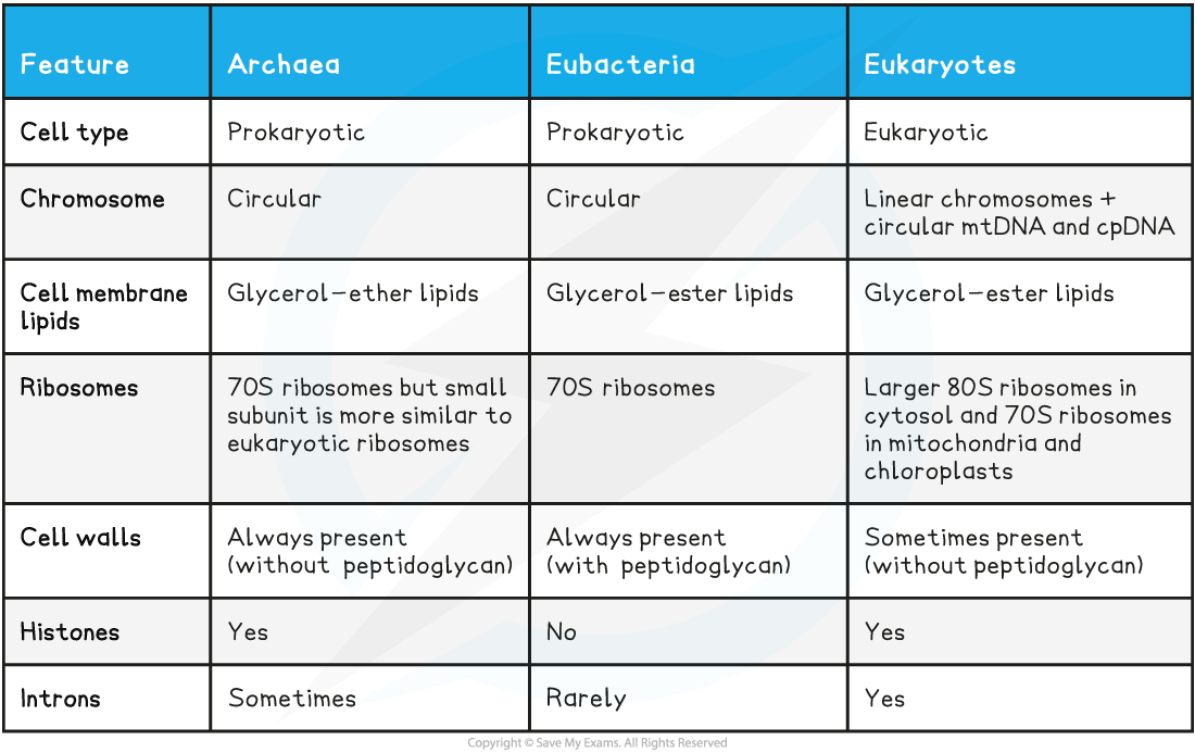 The-features-of-the-three-domains-comparison-table_1
