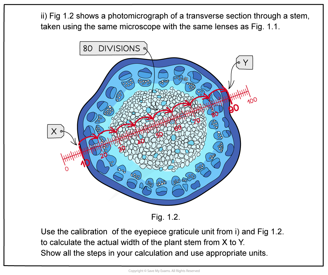 Transverse-Sections-worked-example-2