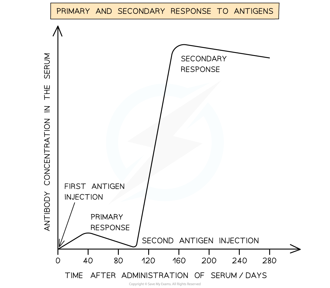 Types-of-Immunity