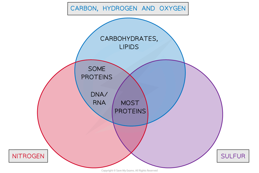 Using-the-Presence-of-Various-Atoms