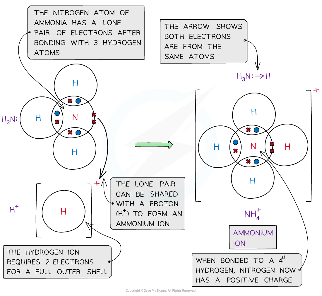 Edexcel A Level Chemistry 复习笔记 Covalent Dot and Cross Diagrams 翰林国际教育