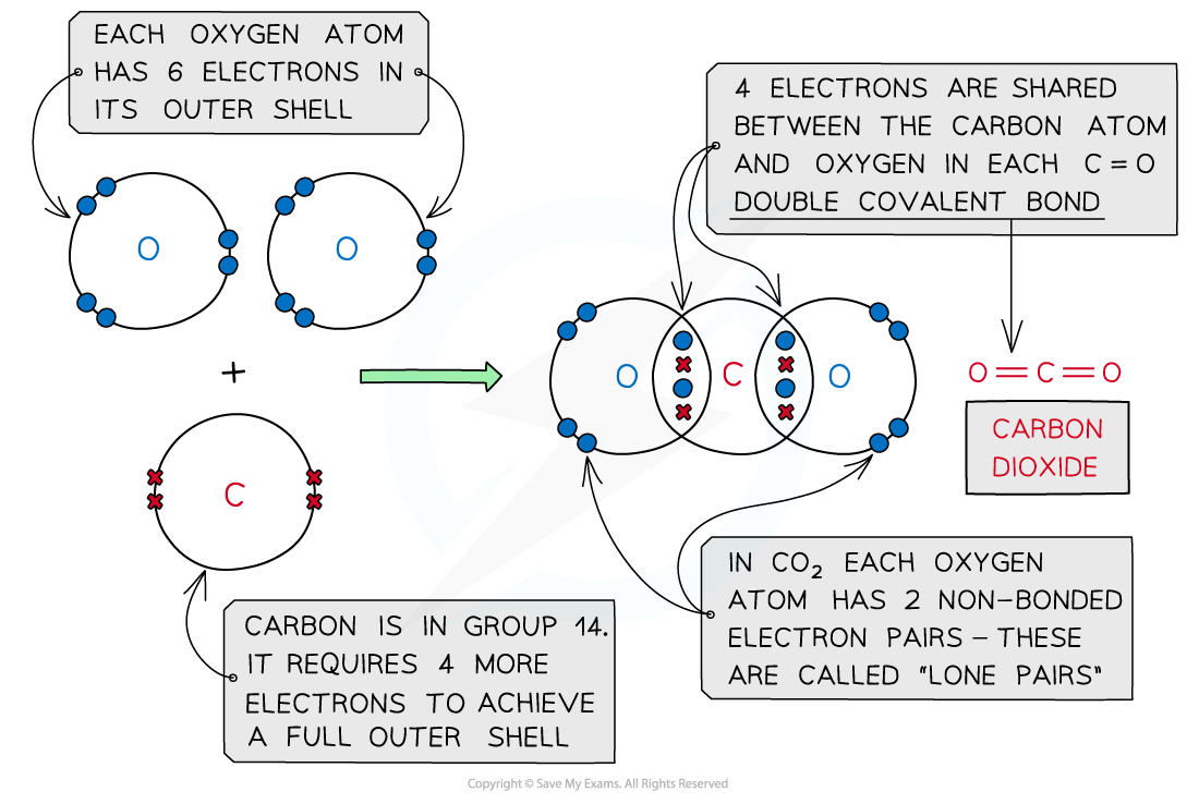 1.3-Chemical-Bonding-Double-Covalent-Bonding-CO2