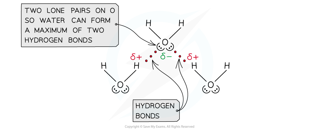 1.3-Chemical-Bonding-Water-H-Bonds