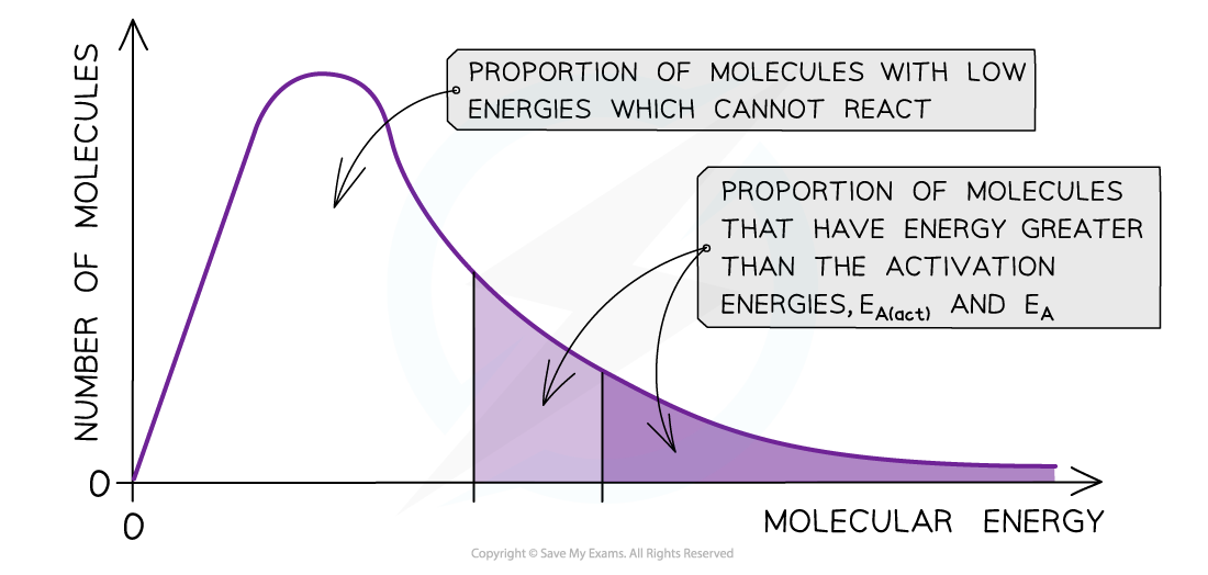 1.8-Reaction-Kinetics-Catalyst-Boltzmann-Distribution