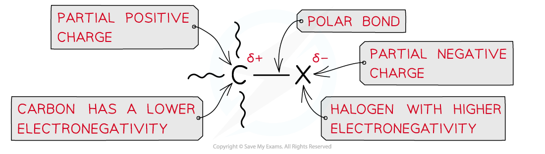 3.3-Halogen-Compounds-Polarity-of-the-C-X-bond