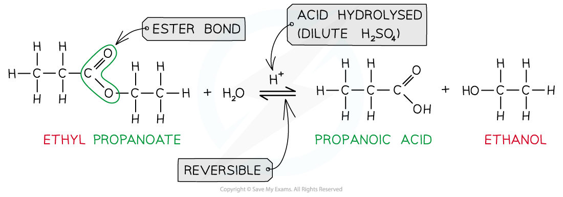 3.6-Carboxylic-Acids-Derivatives-Hydrolysis-by-Acid