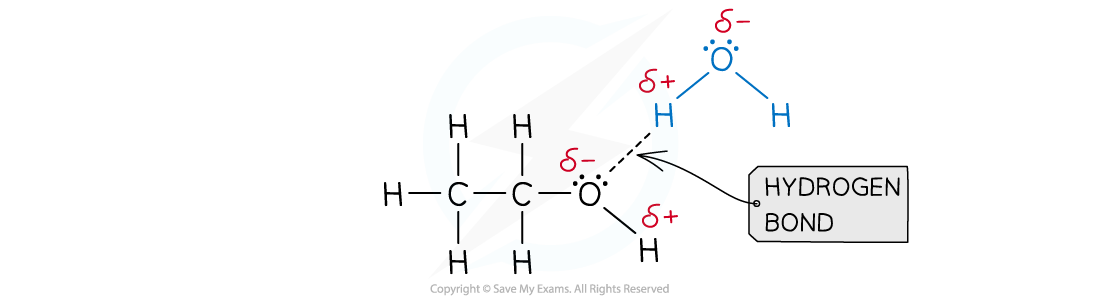 4.1.14-Hydrogen-bonds-between-ethanol-and-water-1