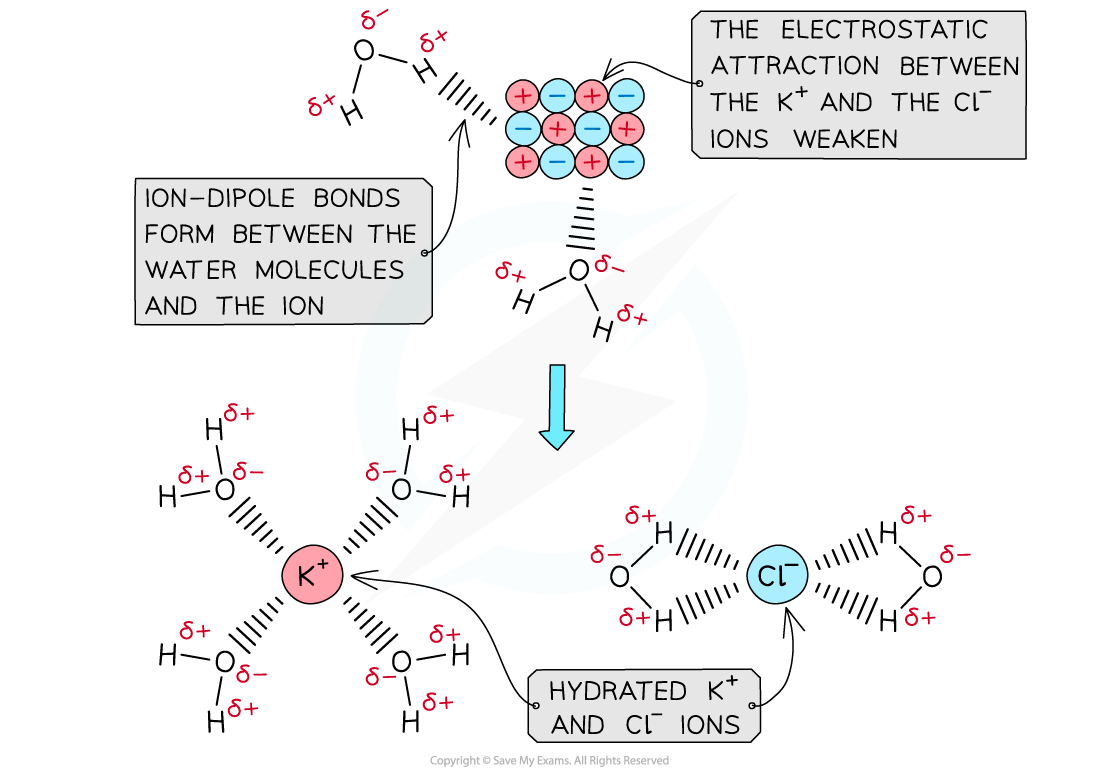 5.1-Chemical-Energetics-Ion-Dipole-Bonds