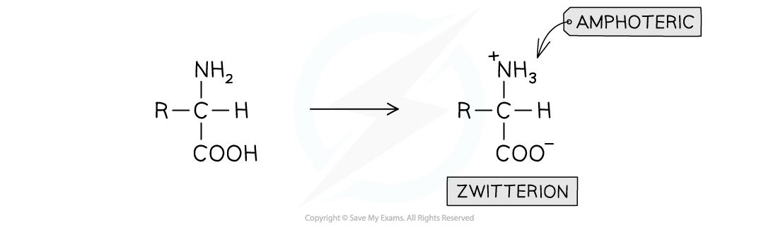 7.6-Nitrogen-Compounds-Zwitterion