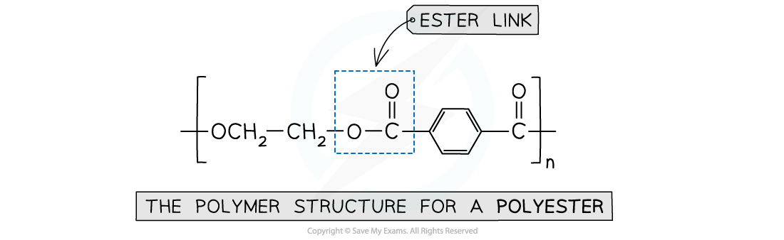 7.7-Polymerisation-Ester-link