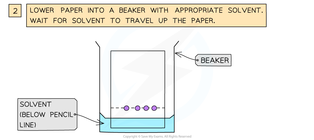 Chromatography-of-amino-acids-2