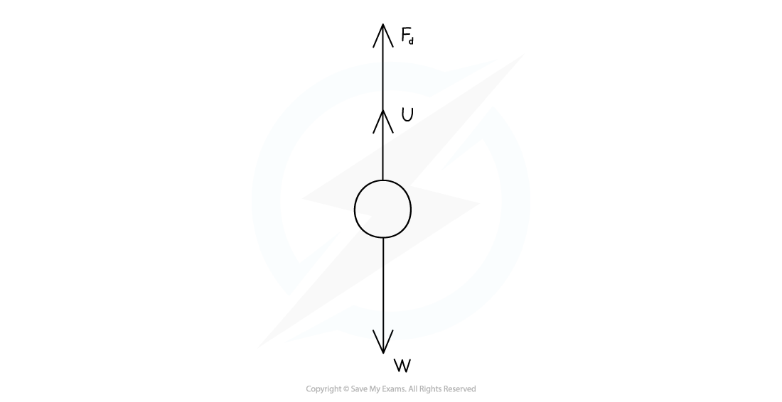 4-3-viscous-drag-worked-example-answer_edexcel-al-physics-rn