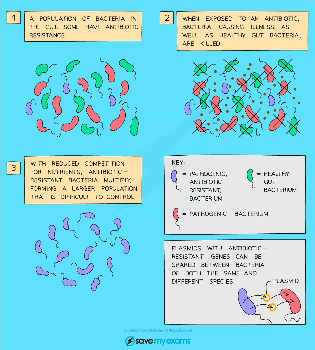 Antibiotic_resistance