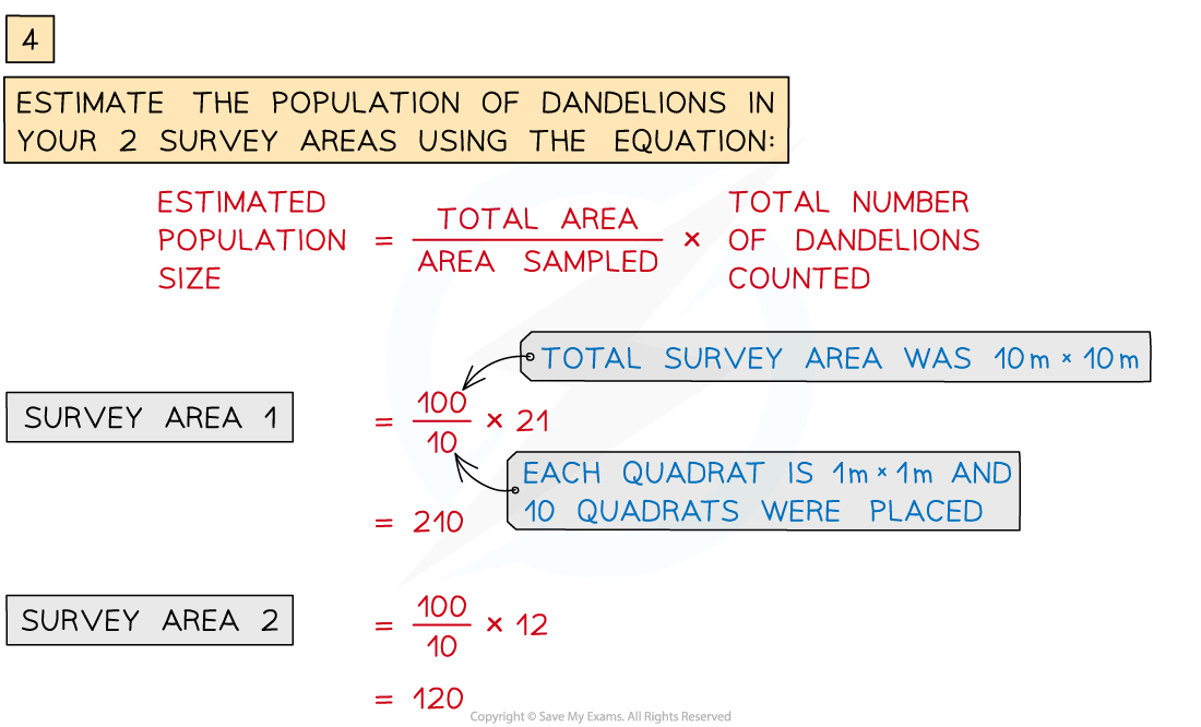 Comparing-population-sizes-across-2-different-study-areas-2