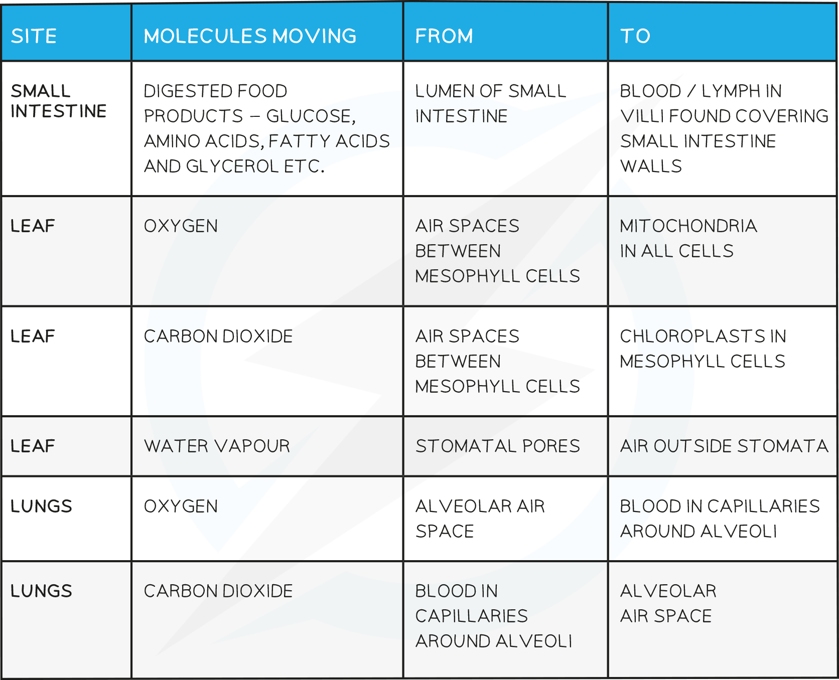 Examples-of-diffusion-in-living-organisms-table