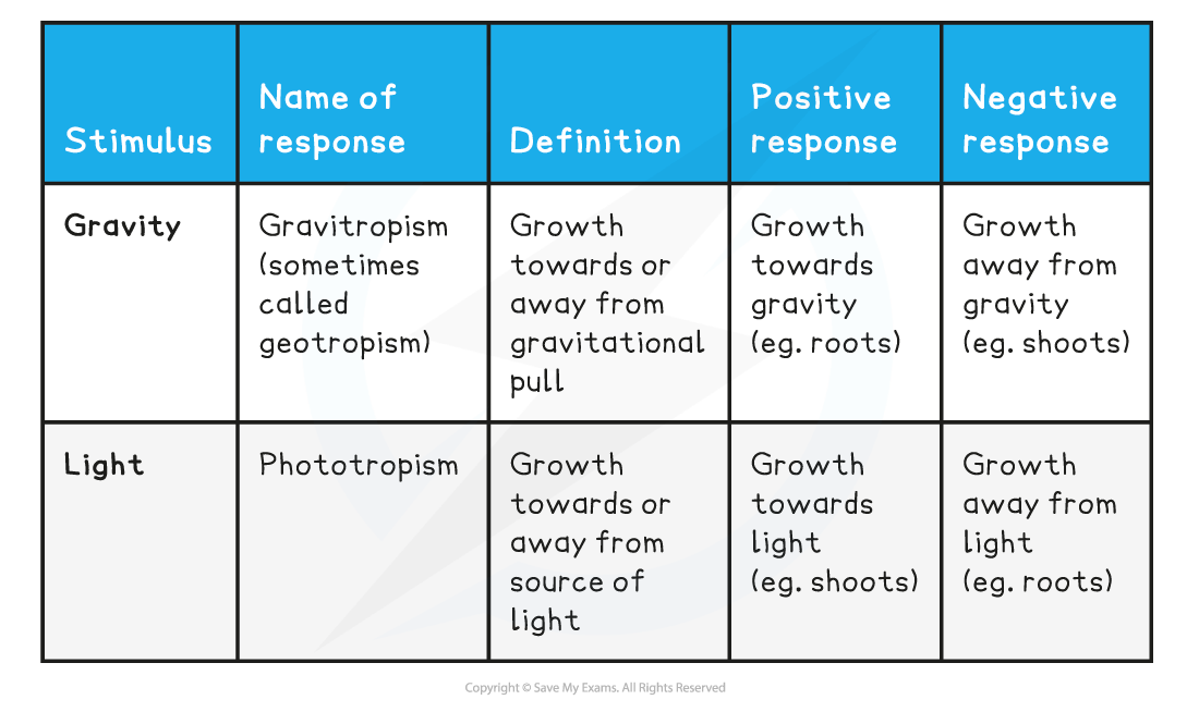Gravitropism-phototropism-table