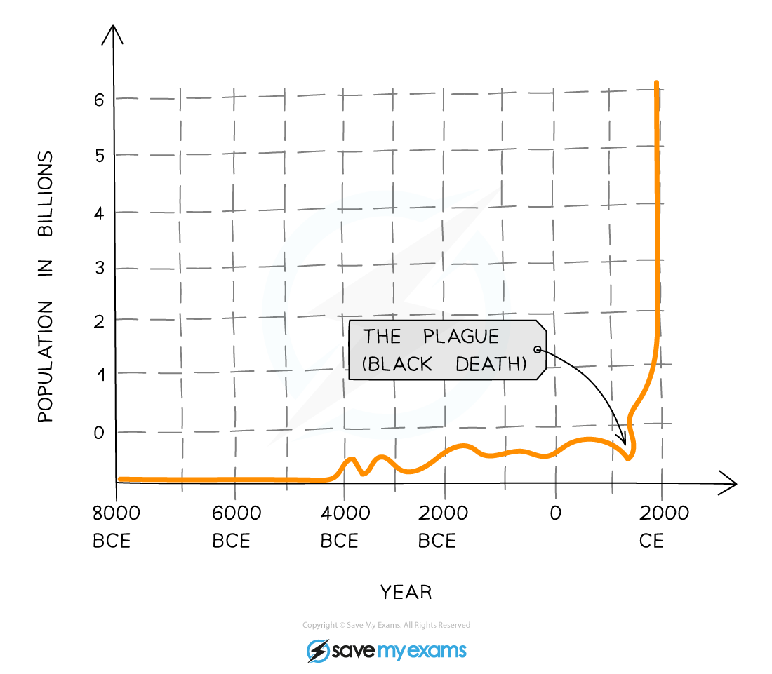 edexcel-igcse-biology-double-science-4-4-1-the-effects-of-pollution