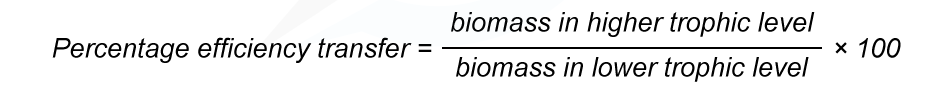 New-WE-calculating-efficiency-of-biomass-transfers_1