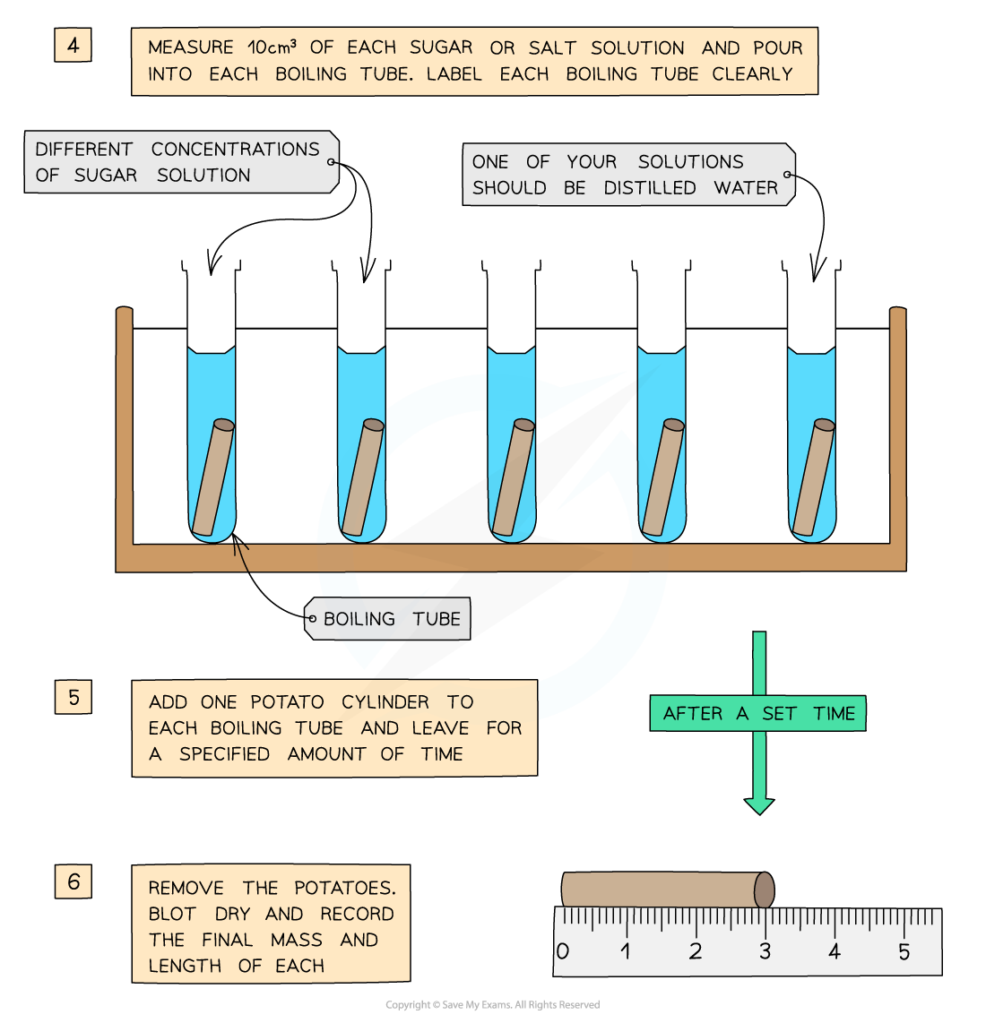 Edexcel IGCSE Biology Double Science 2 4 4 Practical Osmosis
