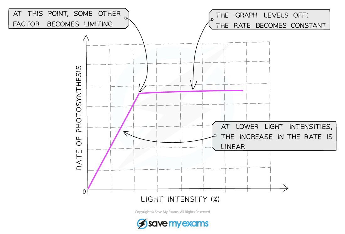 The-effect-of-light-intensity-on-the-rate-of-photosynthesis