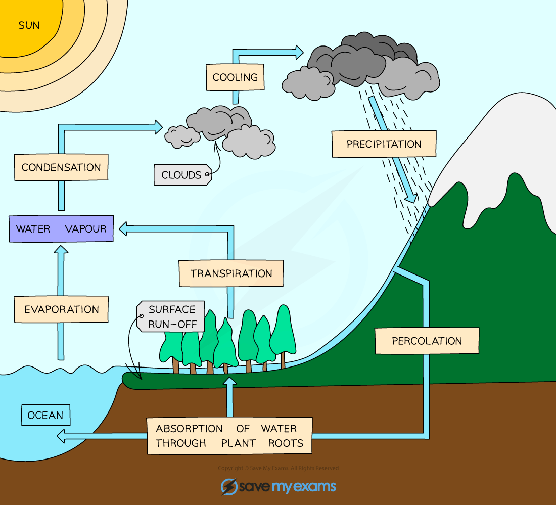 The-water-cycle